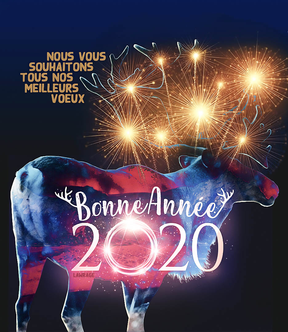 Meilleurs voeux 2020, par Lawrage