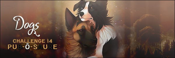 Bannière Challenge 14 PÔS, par Fraisy Sarcasm