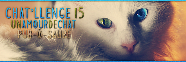 Bannière Challenge 15 PÔS, par Fraisy Sarcasm