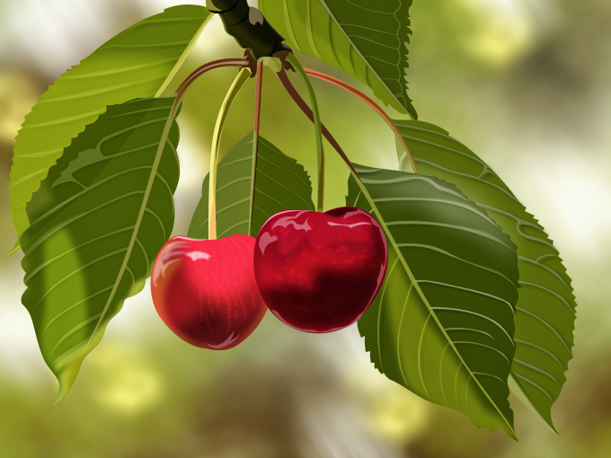 Cerises, par Tamara