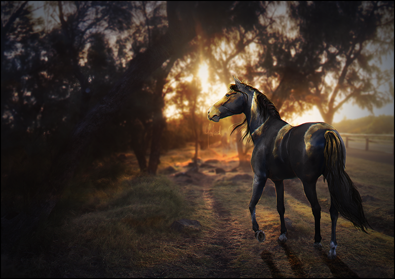 Cheval, par Galad-El