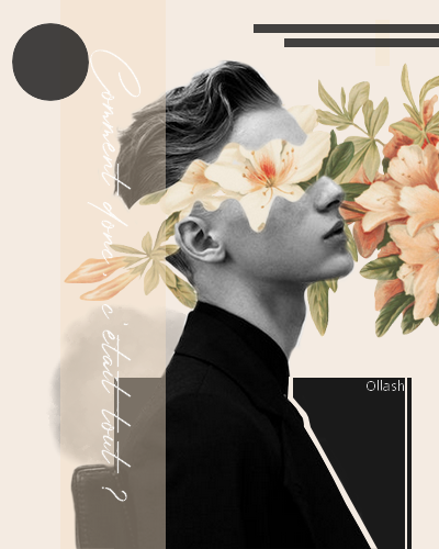 Comment donc, c'était tout ?, par Ollash