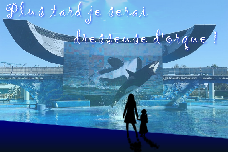 Plus tard je serai Dresseuse d'Orque !, par Skulblhaka