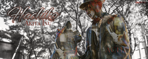 Hachiko, par Tokyadi