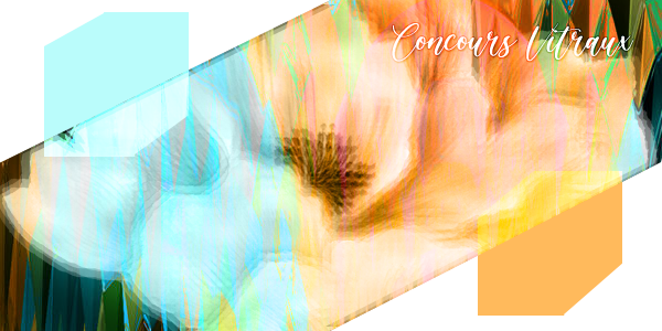 Concours Vitraux, par Ayfoth