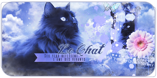 Le chat est mon animal totem, par Linoa
