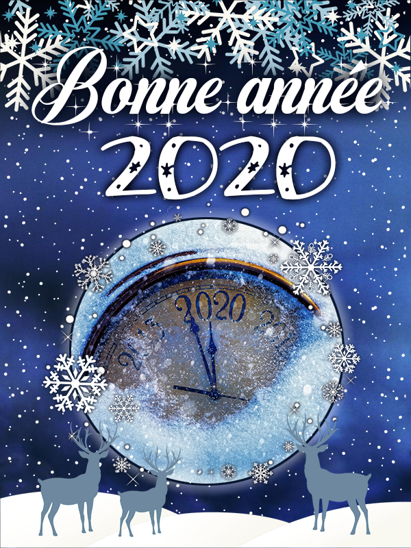 Carte de voeux 2020, par Linoa
