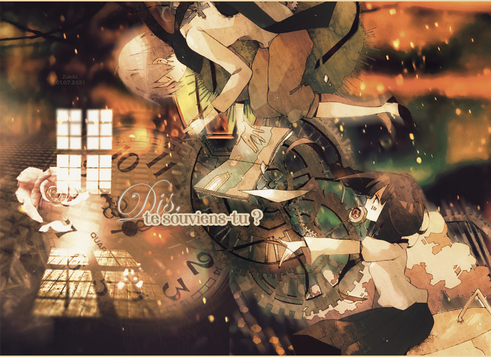 Dis, te souviens-tu ?, par Zukki