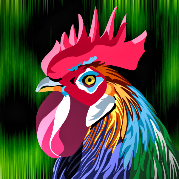 Coq, par Tamara