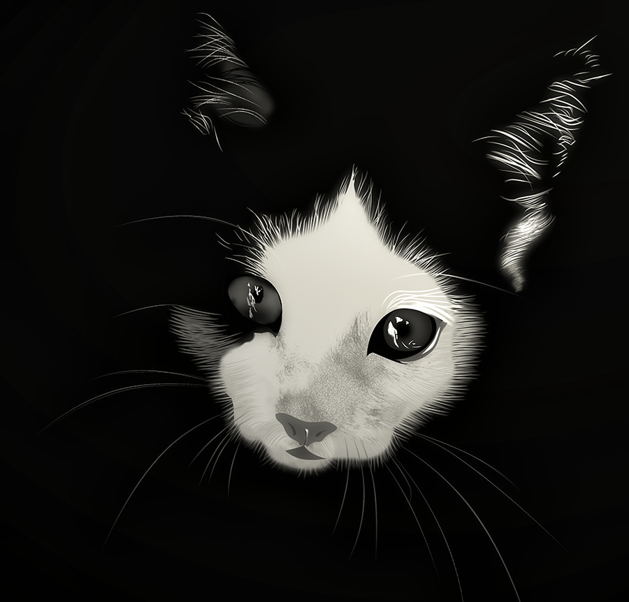 Croquette la minette, par Tamara