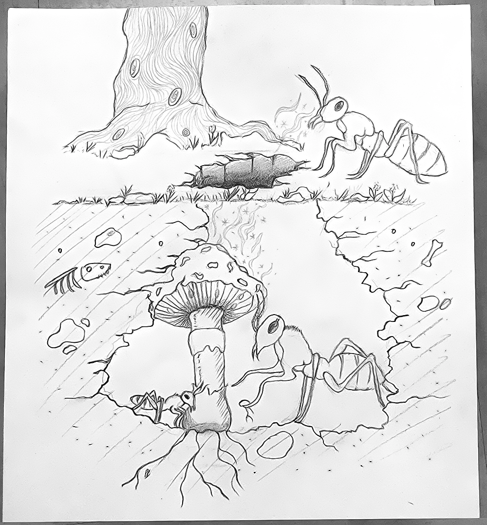 Sexe ratio - Diapositive 1, par Lawrage