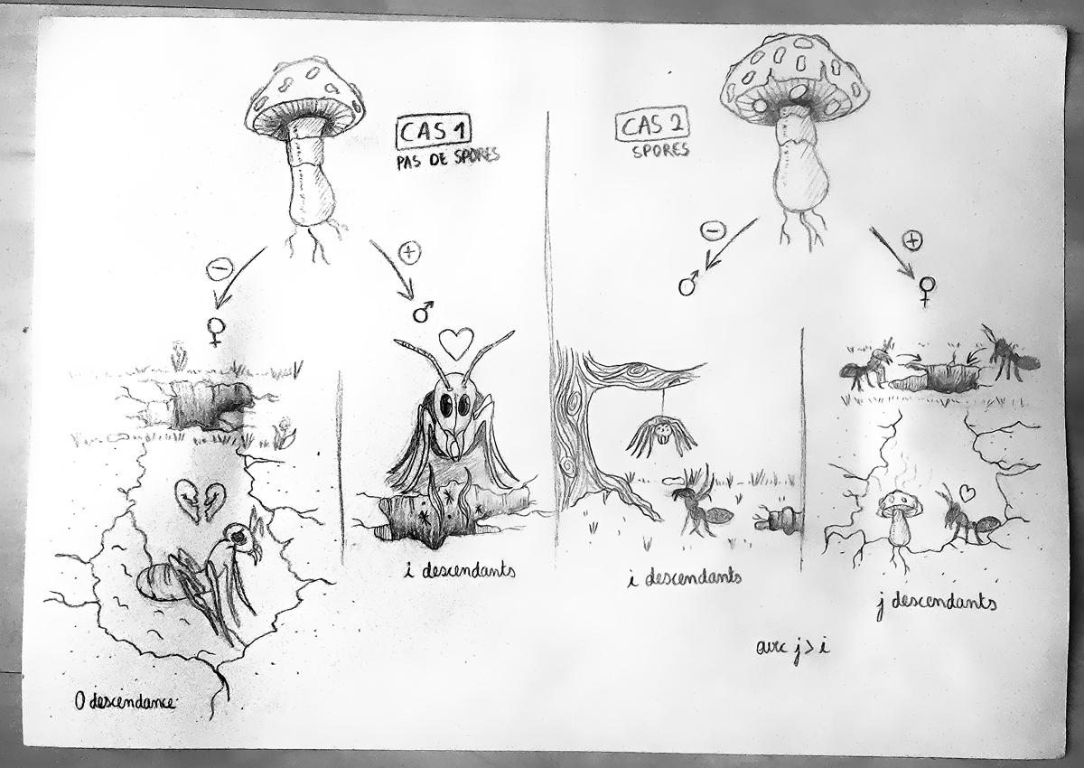 Sexe ratio - Diapositive 2, par Lawrage