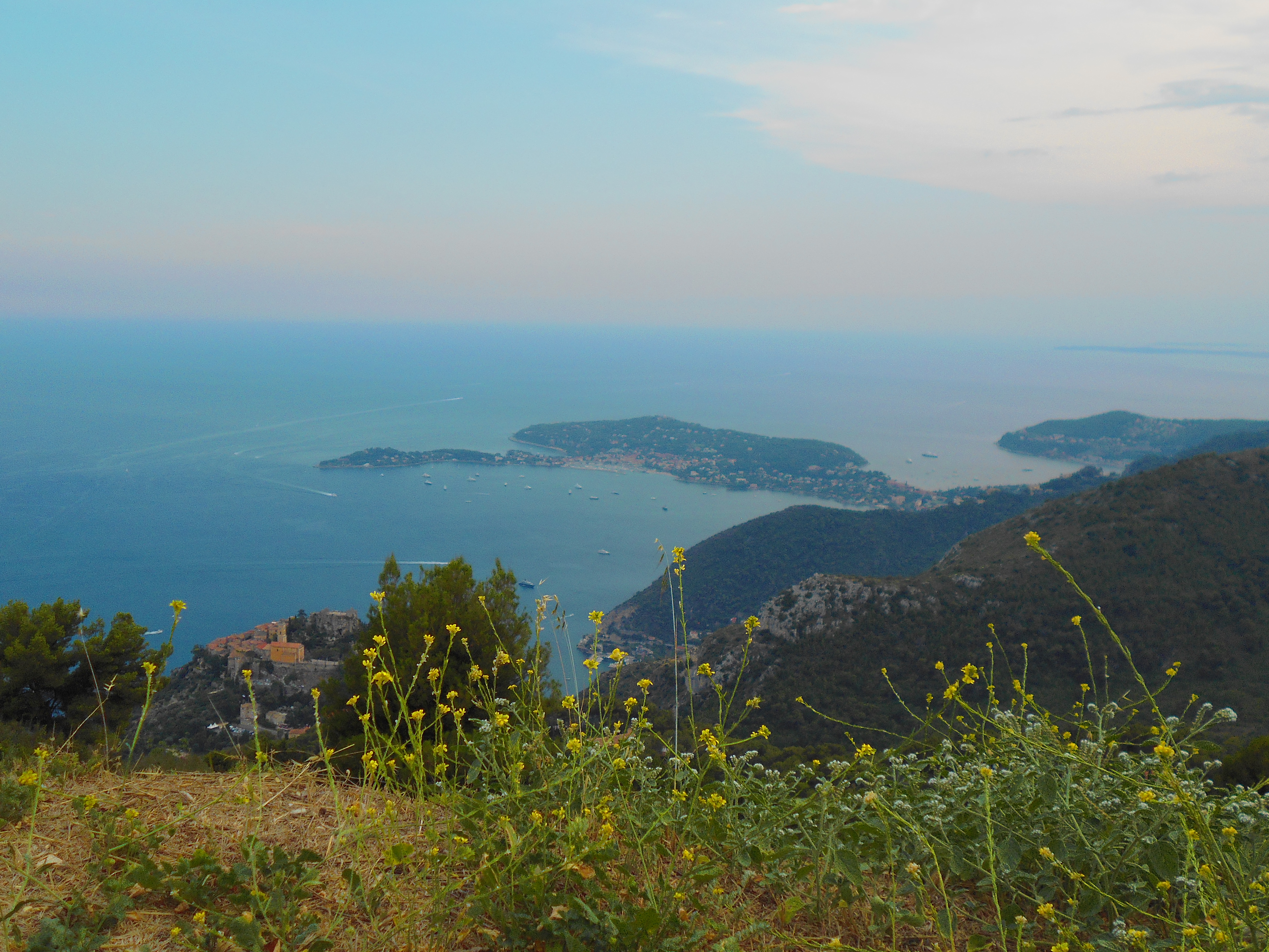 Un été /1, par Nekkomi