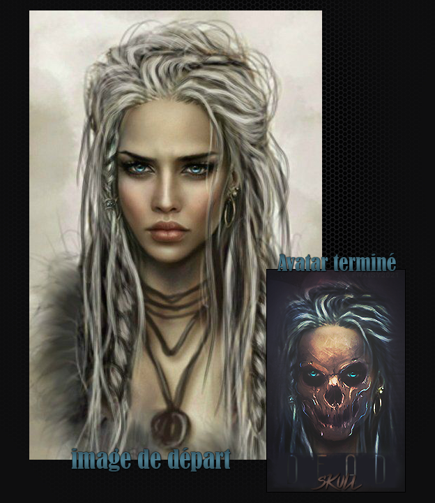 Changement d'univers, par Fraisy Sarcasm