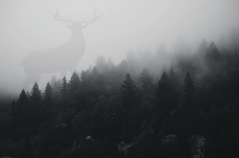 Deer God, par Aadelrun