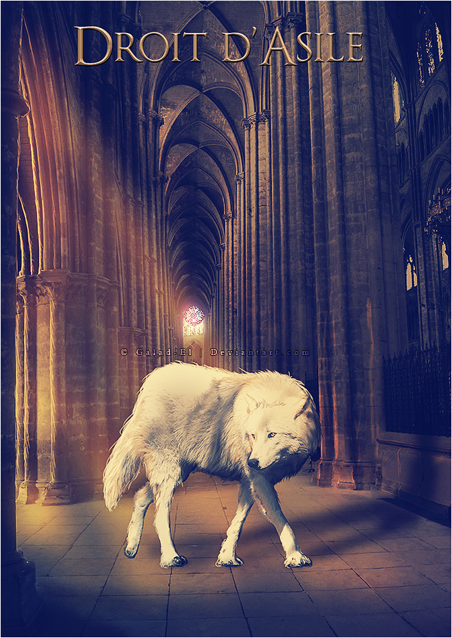 Droit d'asile, par Galad-El