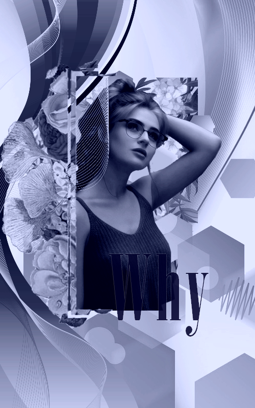Why, par Ollash