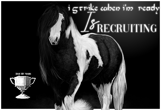 Gypsy Vanner, par emily1303