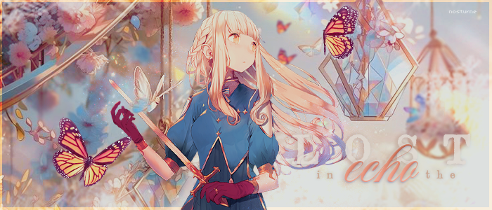 Lost in the Echo, par nosturne