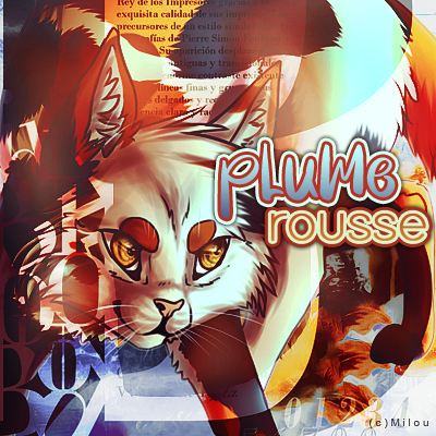 Cadeau de Noël plume rousse, par Milou