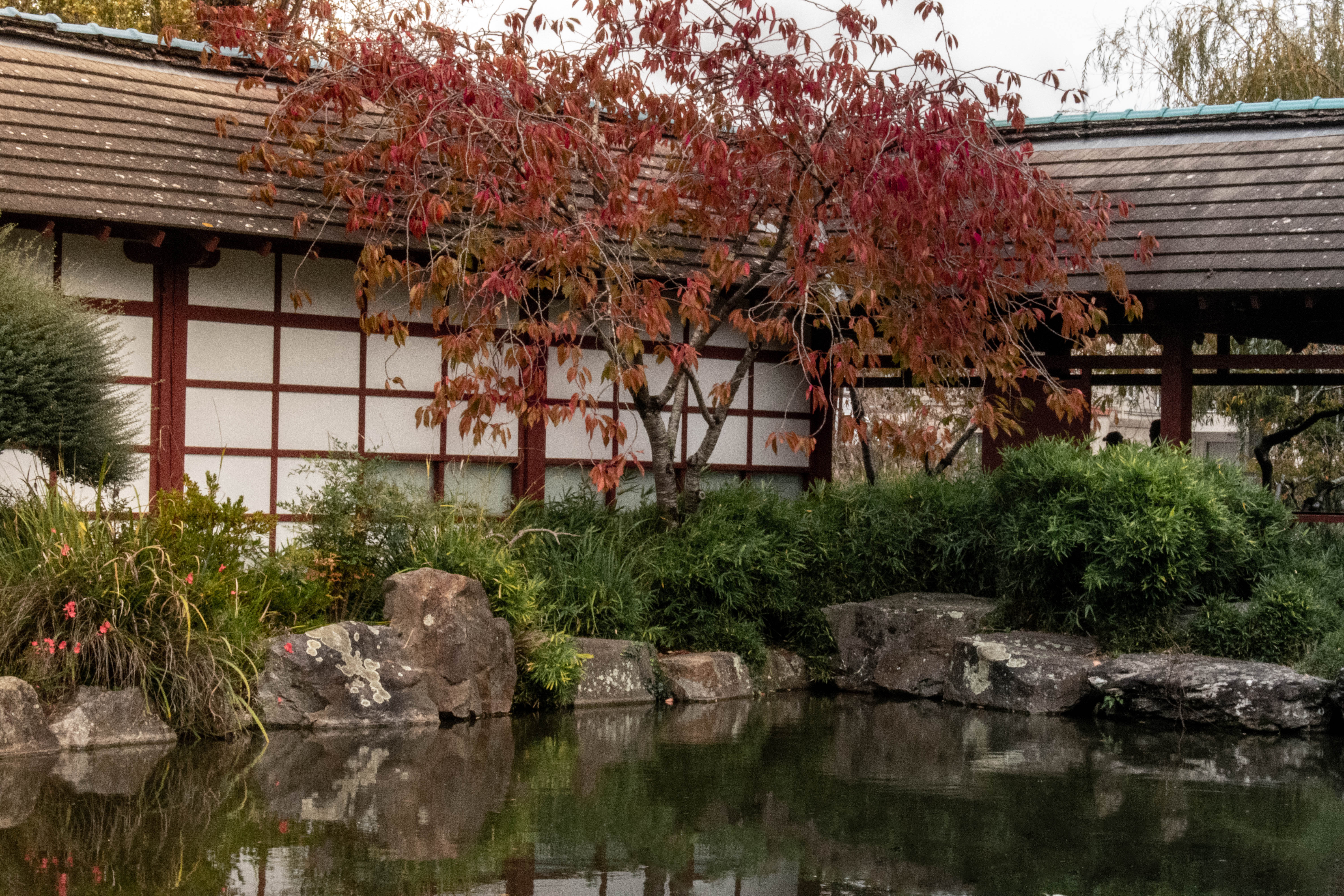 la marre, par Eressëa