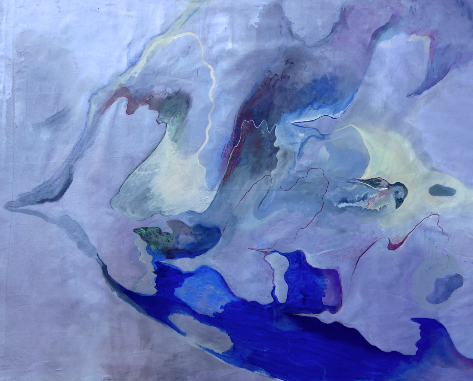 peinture aux oiseaux !, par CHAUSSETTE