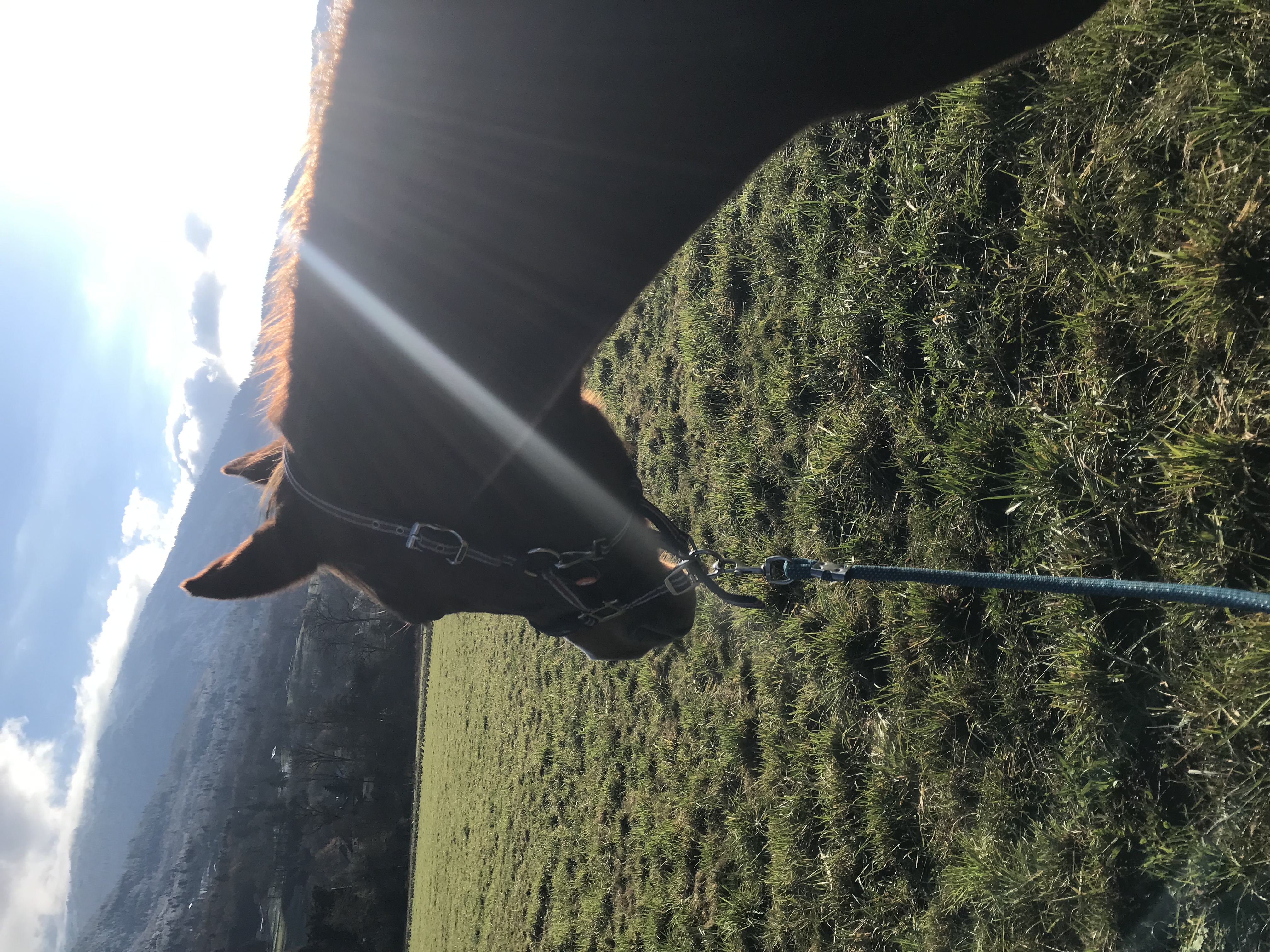 Rayon de soleil, par Saso