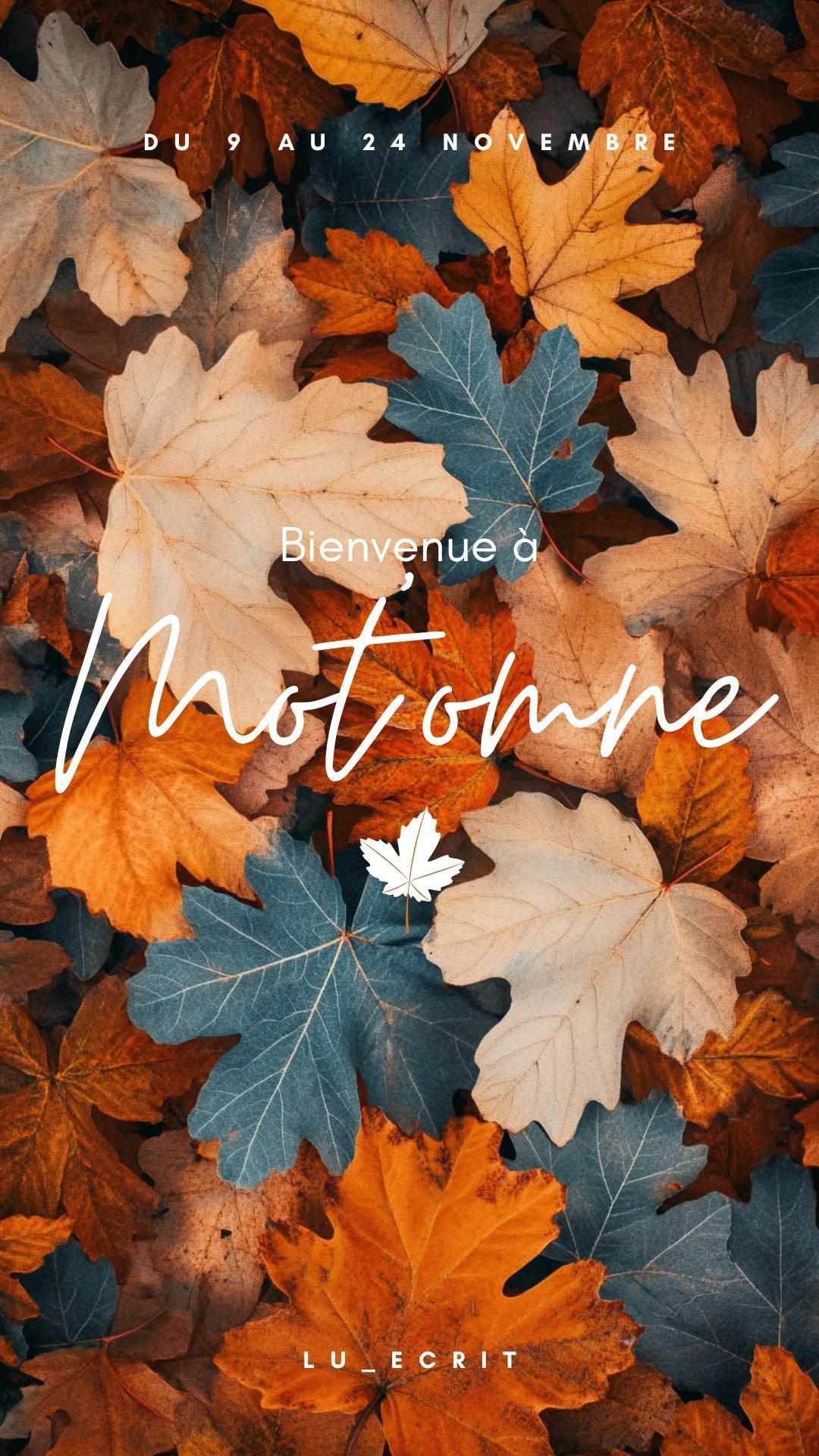 Noa meets Erwin, par Milou