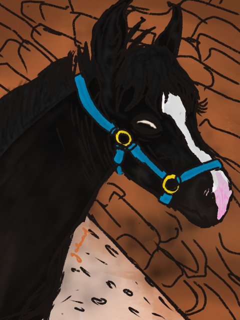 Le poney, par Galaad Night