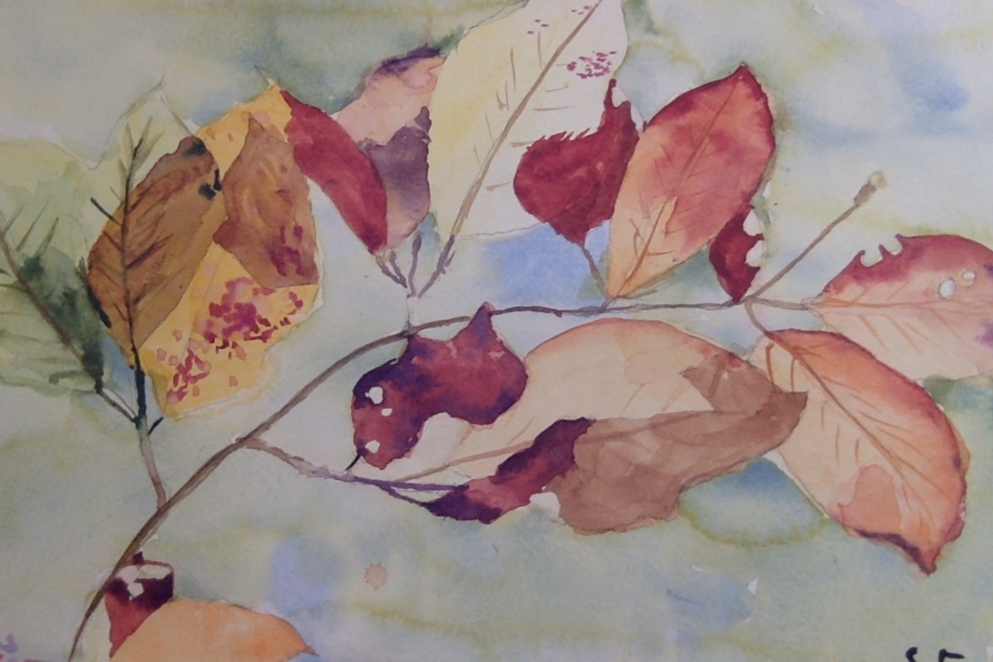 Nature colorée, par Saso