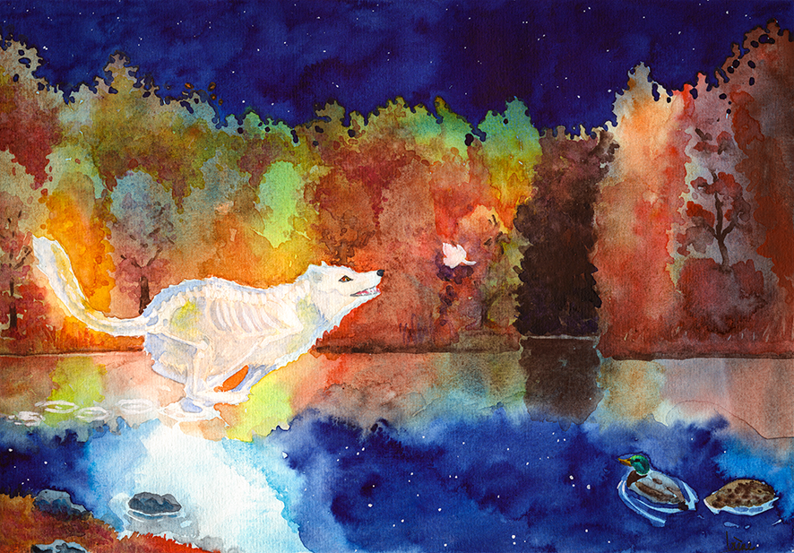 DTIYS Dzaka, par Galad-El