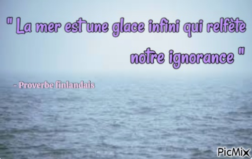 Cadeau pour Nekkomi, par Saso