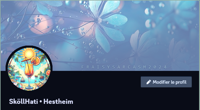 Maquette Profil Discord SköllHati, par Fraisy Sarcasm