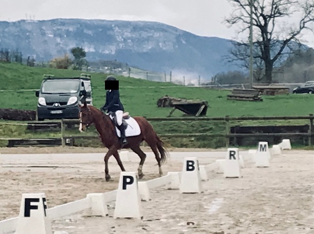 Jument concour de dressage, par Saso