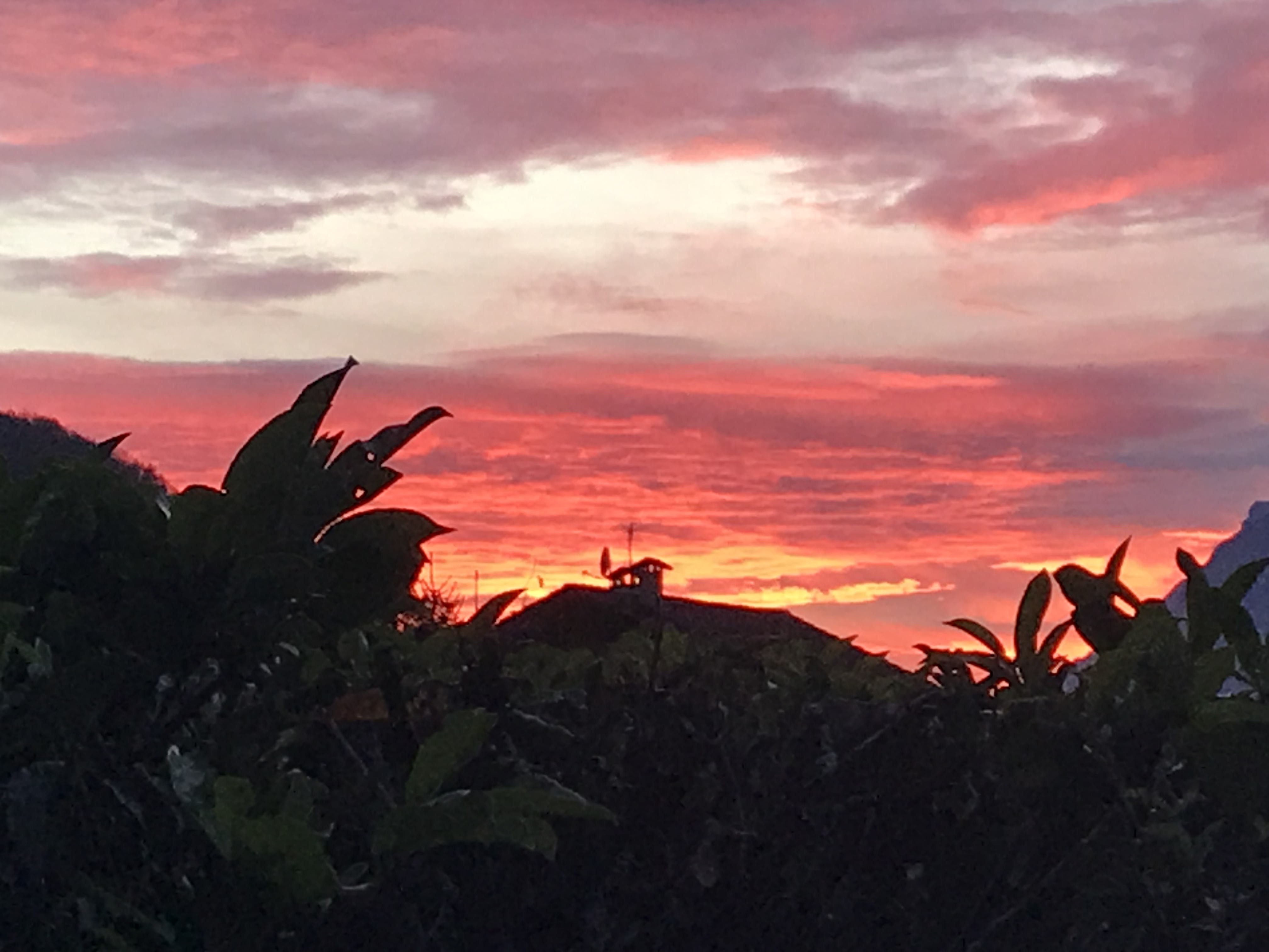 Coucher de soleil flamboyant, par Saso