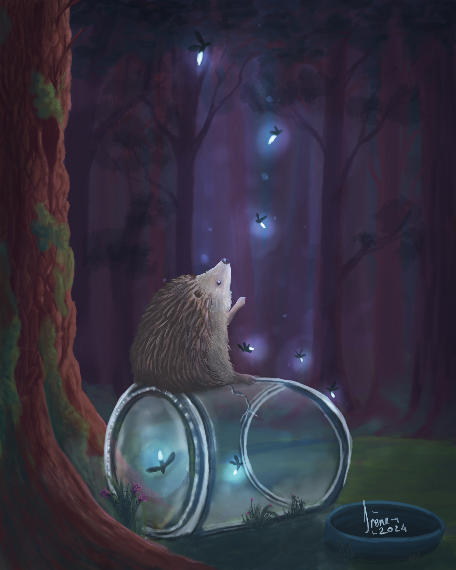 Petit hérisson, par Galad-El