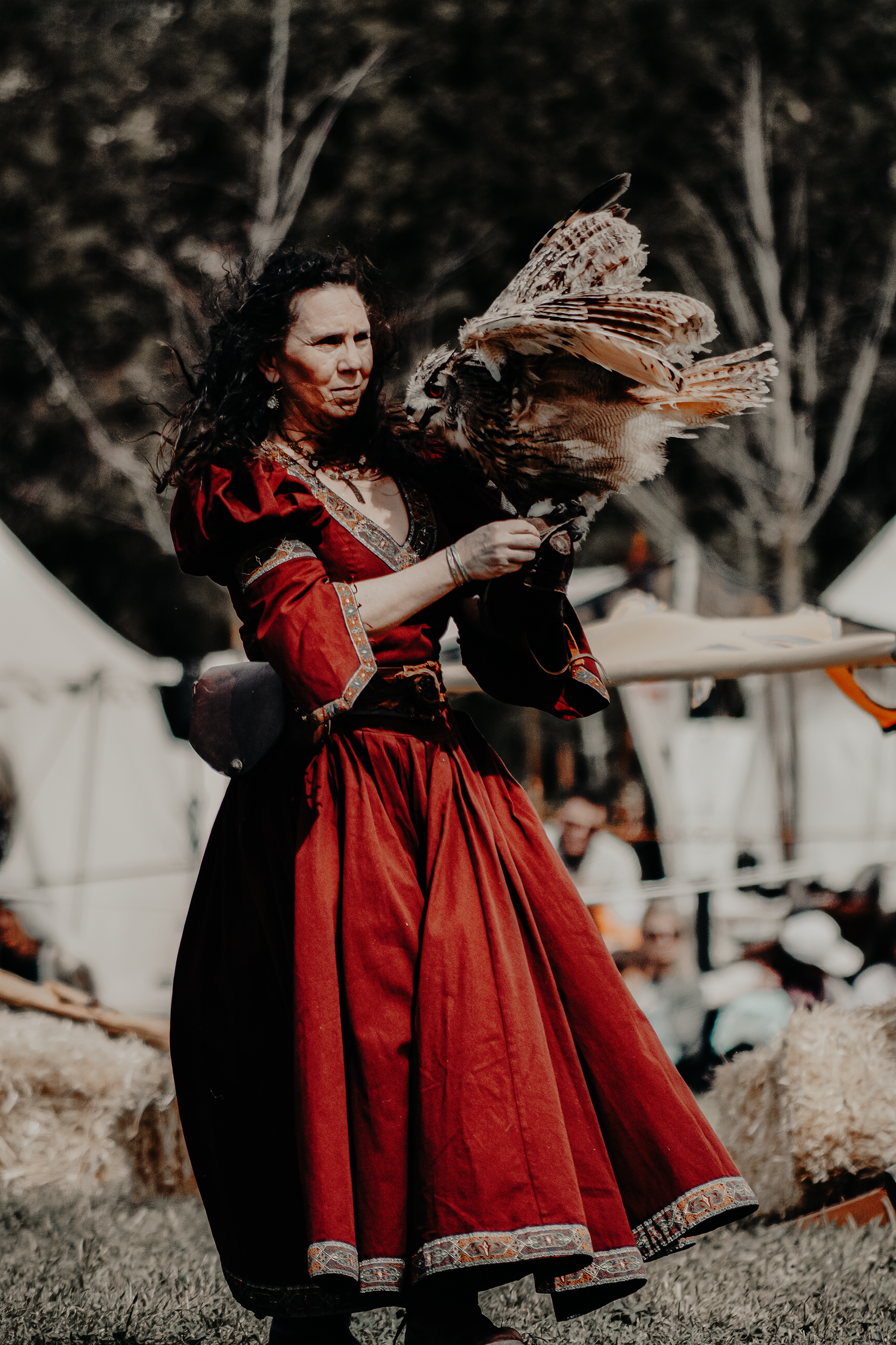 Dompter, par Artemis