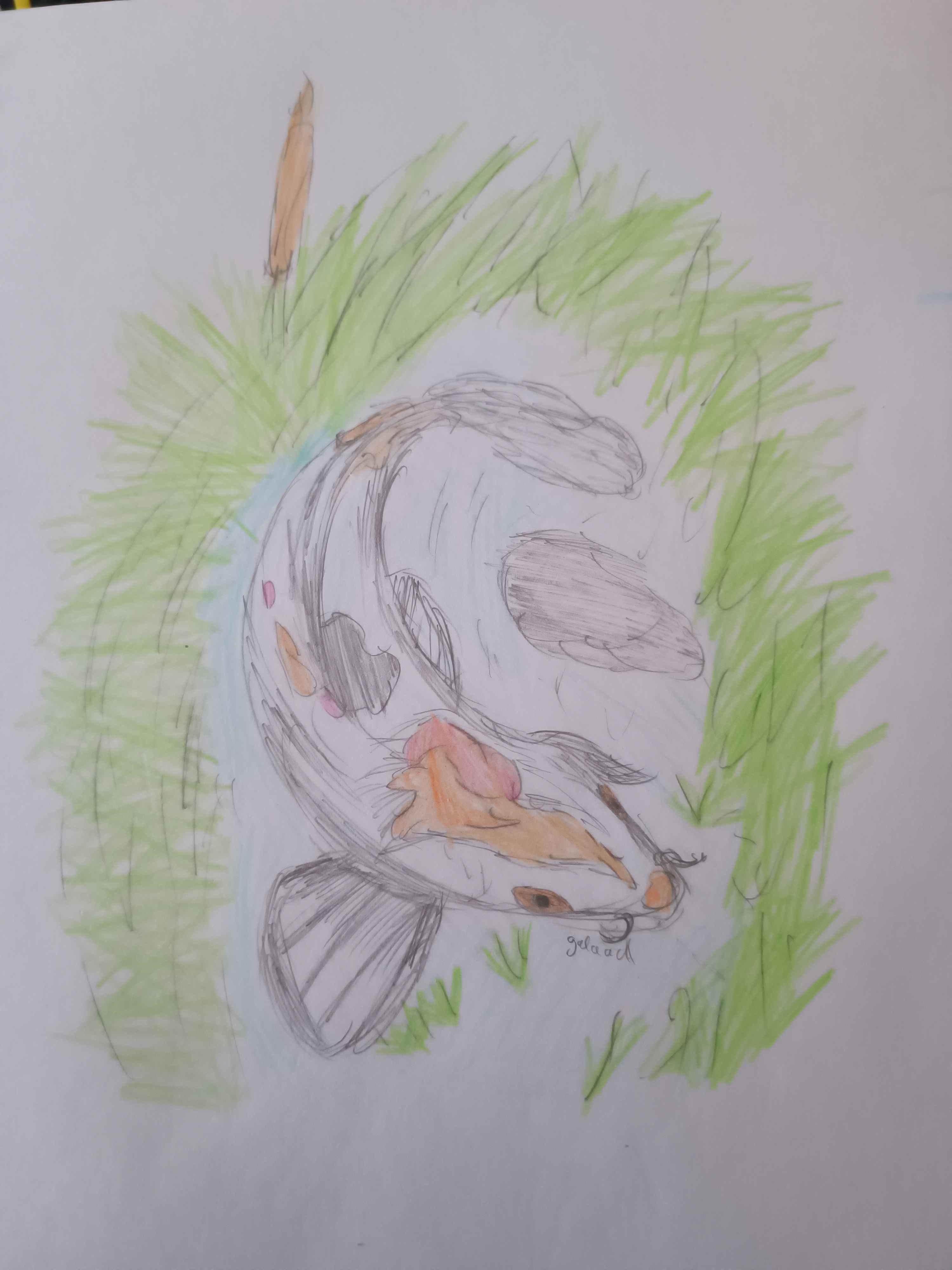 Cadeau d'Asumii, par Galaad Night