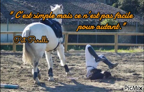 C'est simple pourtant !, par Saso
