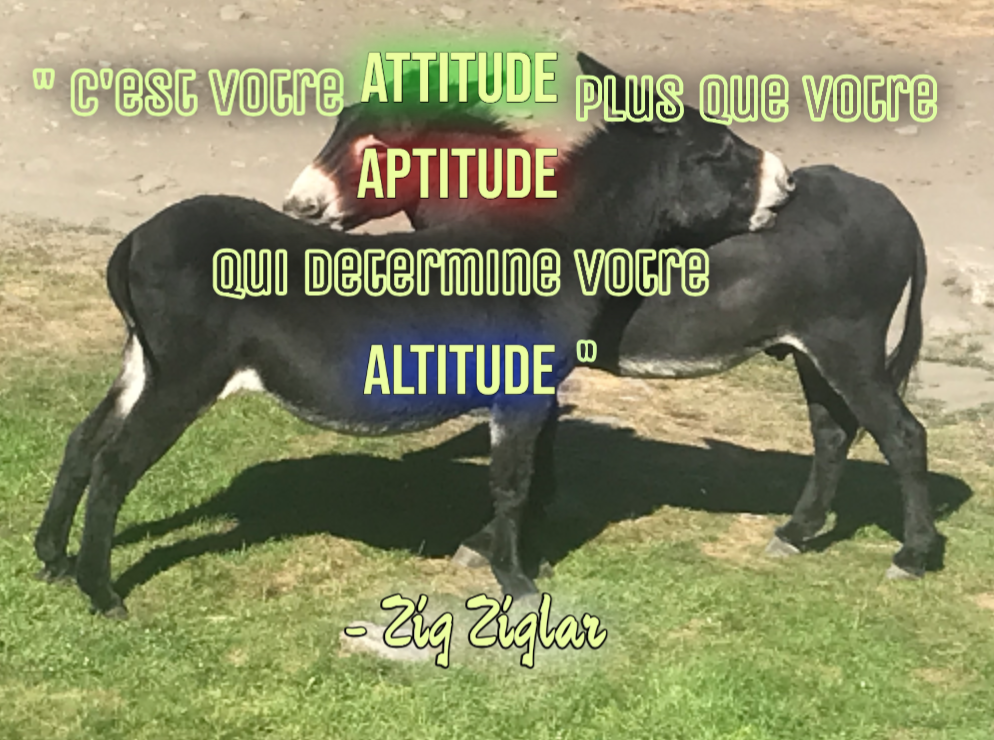 Citation à méditer, par Saso