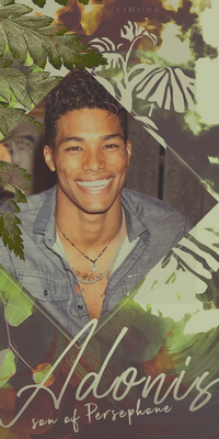 Adonis avatar, par Milou