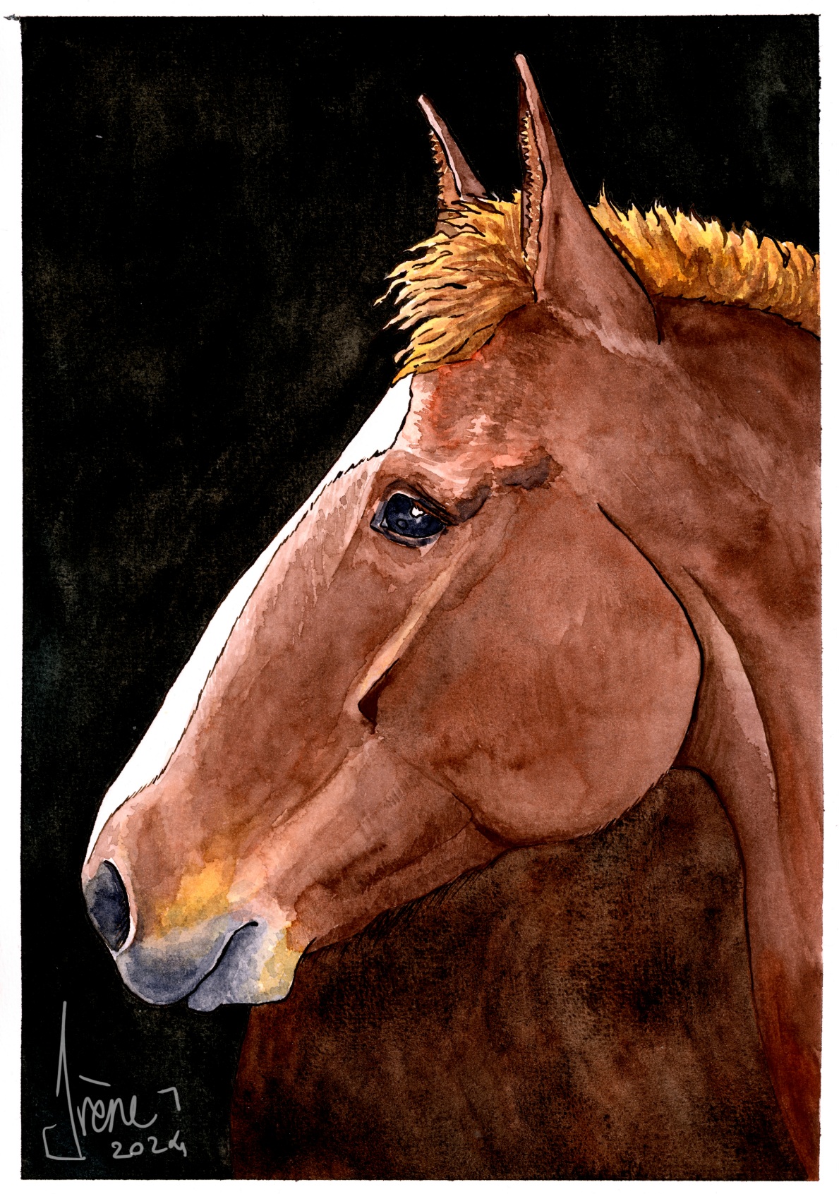 Portrait équin, par Galad-El