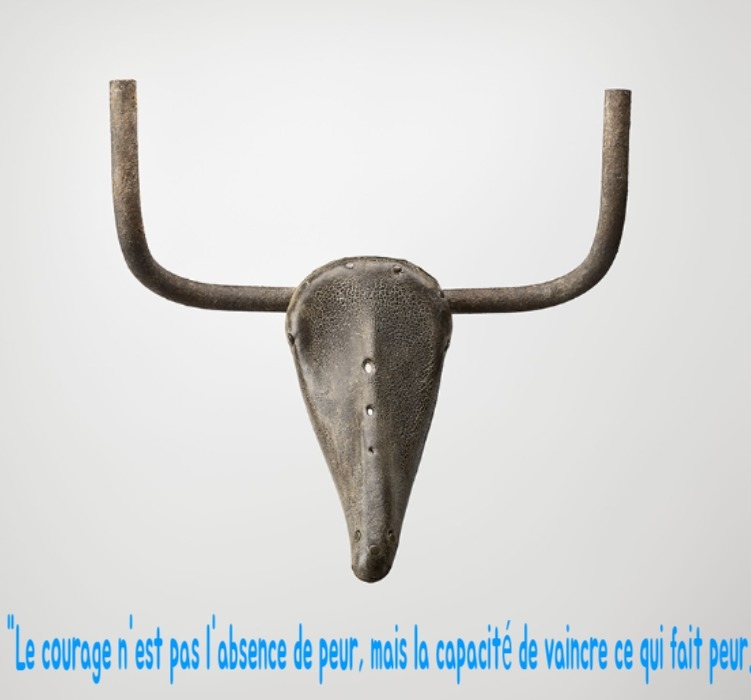 Tête de taureau, par plume rousse