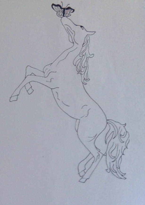 Cheval cabré avec papillon, par Saso