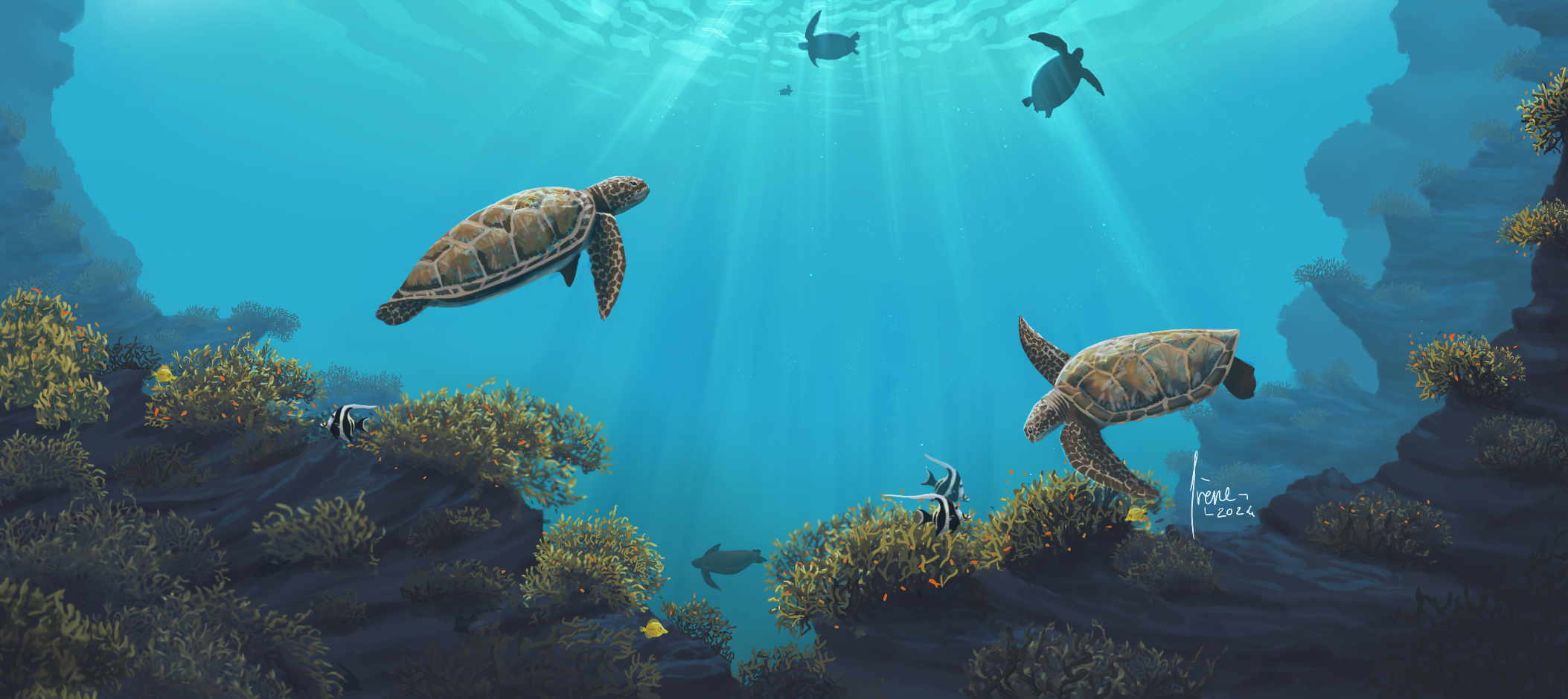 Récifs coraliens, par Galad-El