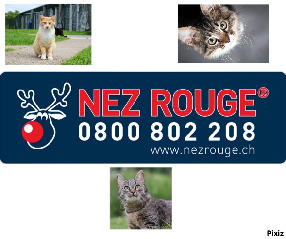 Site "Nez rouge", par plume rousse
