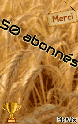 Cover "50 abonnés", par Saso