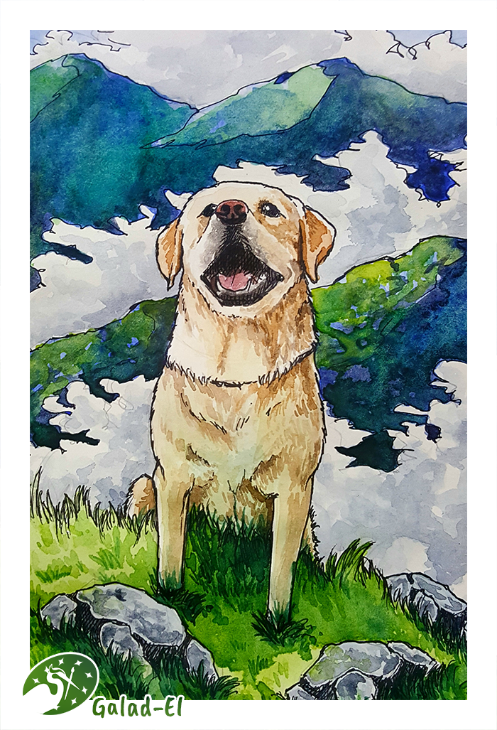 Portrait Reddit, par Galad-El