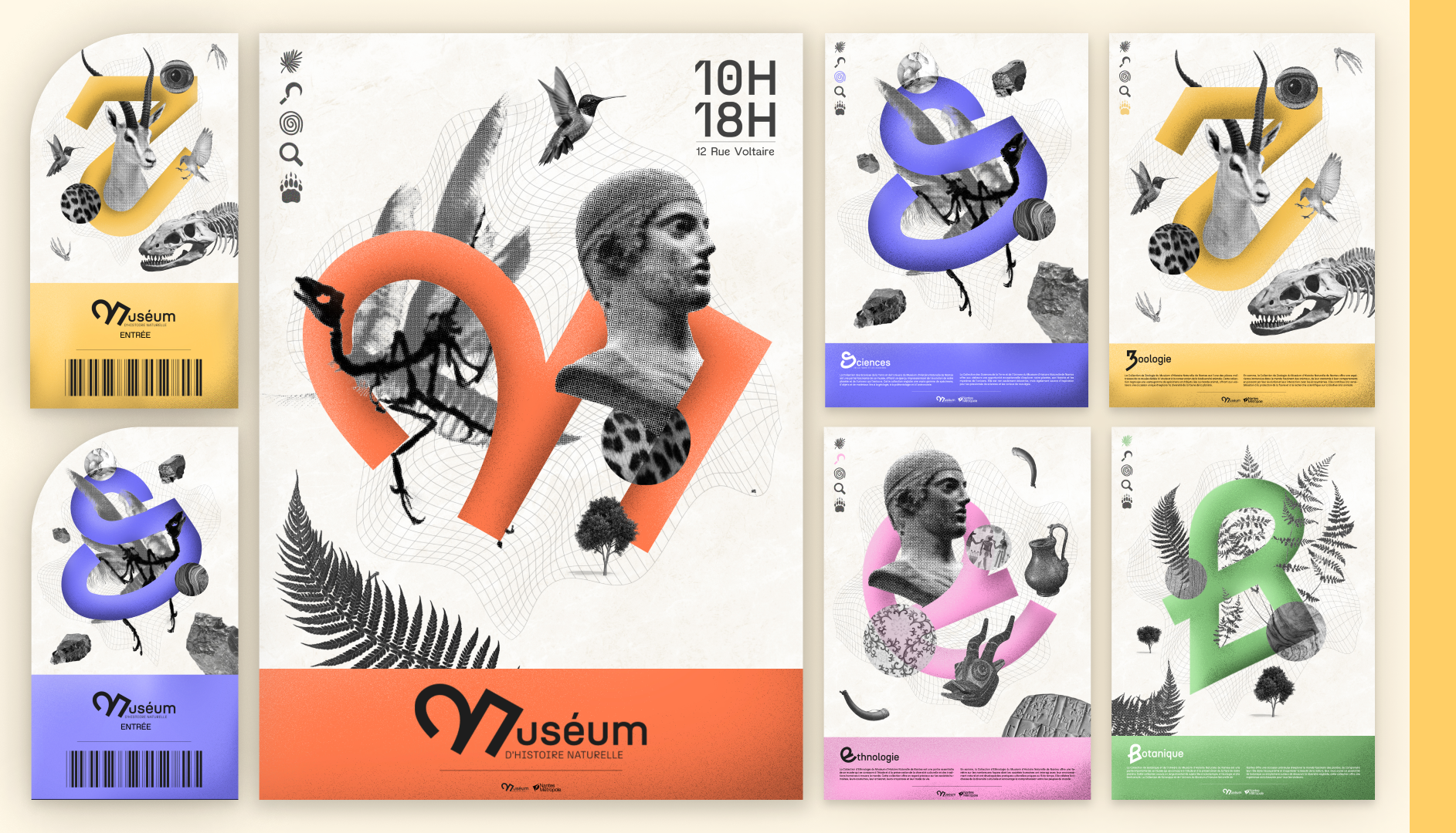 Rebranding du Museum d'Histoire Naturelle de Nantes, par rooonan
