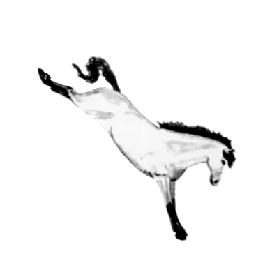 En Blanc, par Étoile de Foudre